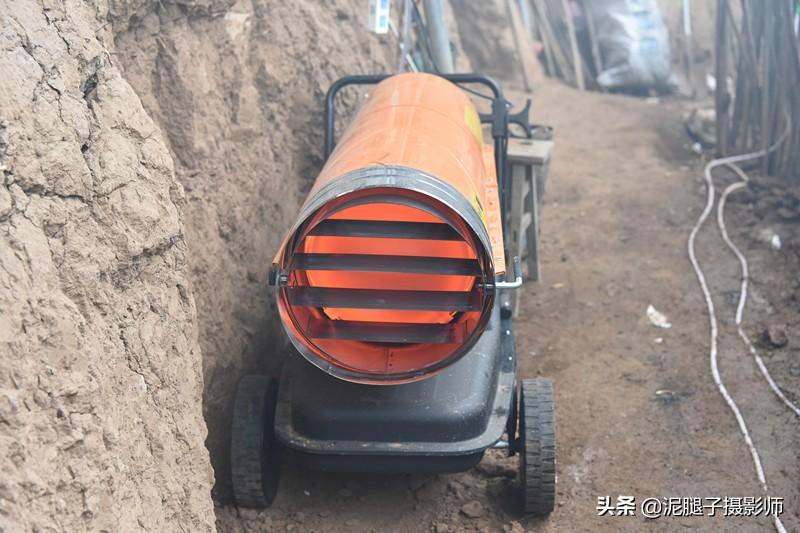 山西農(nóng)民大棚里種香椿，9分地種植70000苗，28元1斤，收入保密