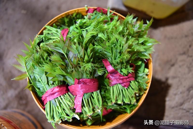 山西農(nóng)民大棚里種香椿，9分地種植70000苗，28元1斤，收入保密