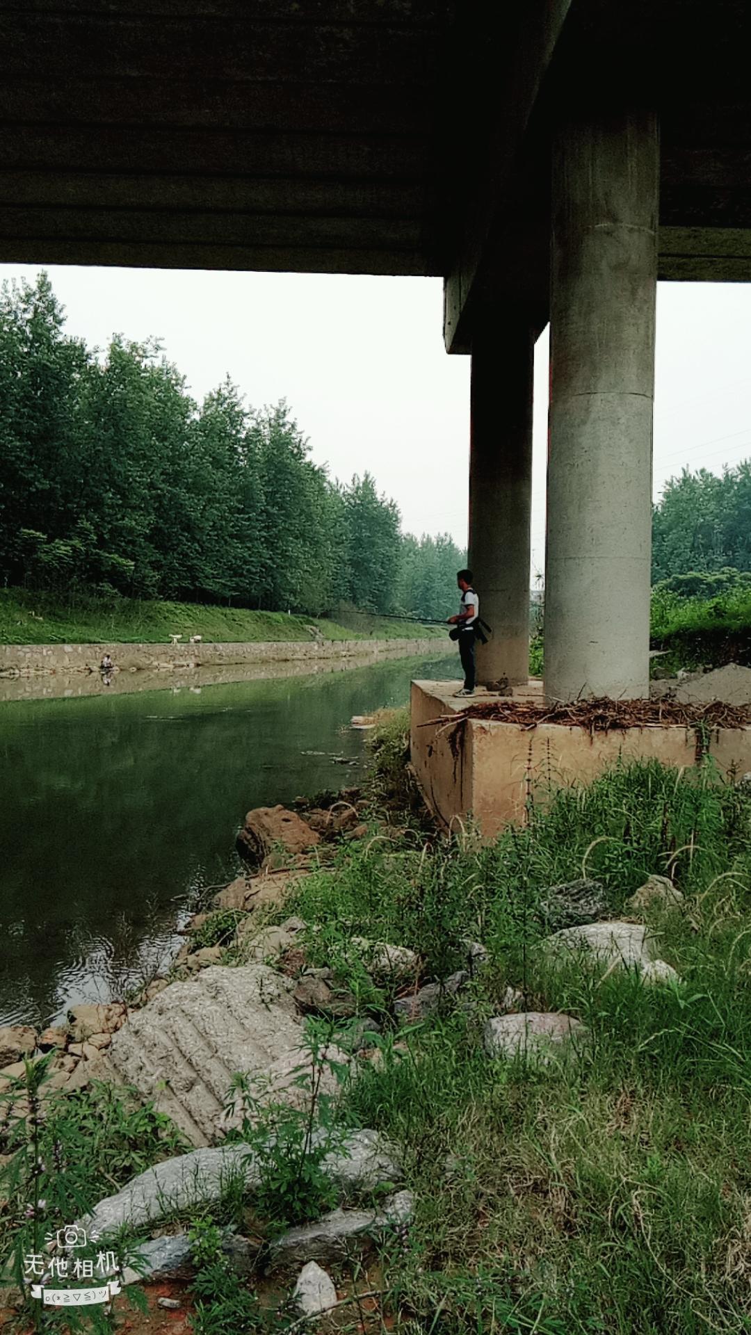 湖北宜都枝城赤溪河，長在河邊的抗癌藥草