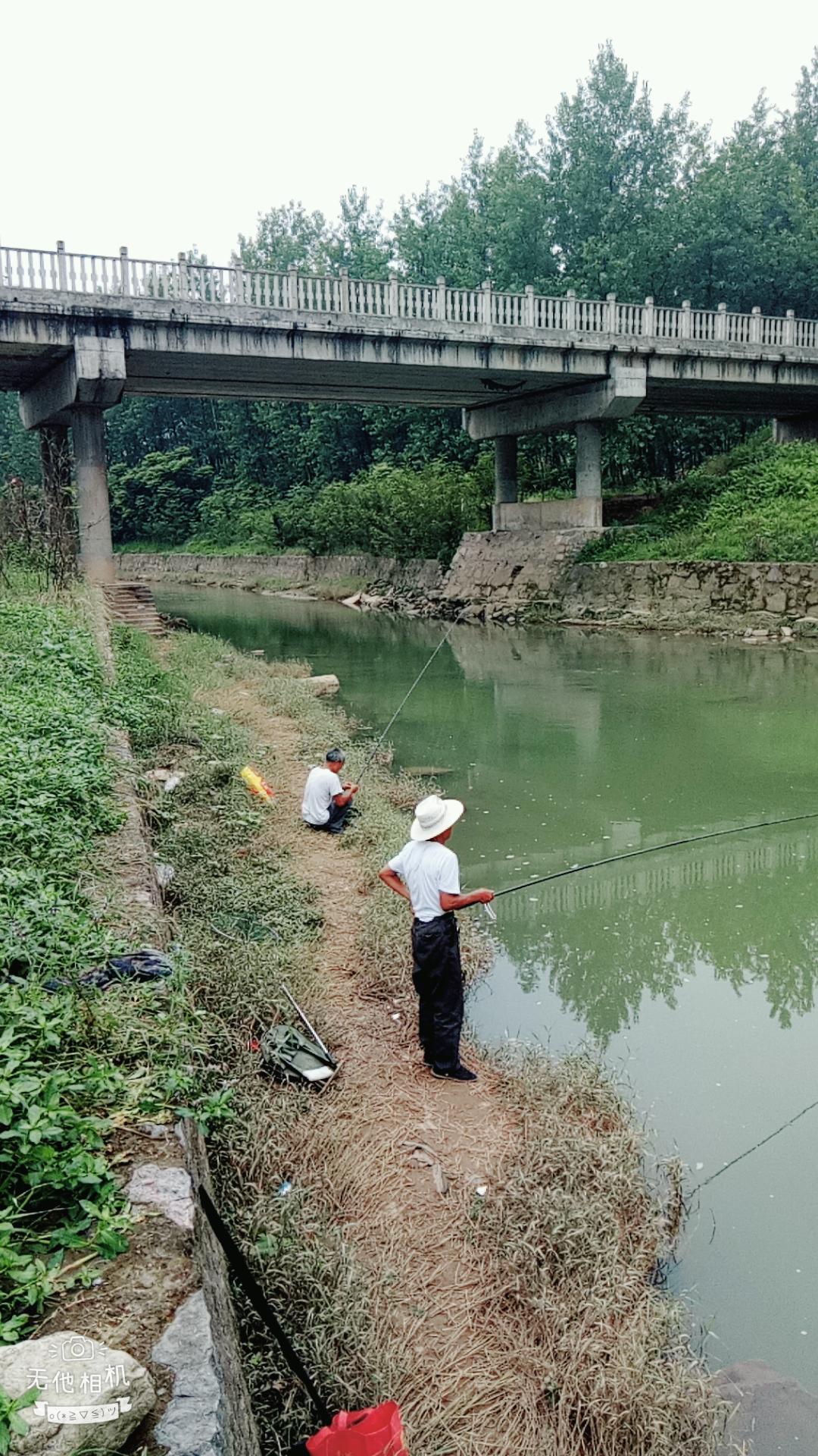 湖北宜都枝城赤溪河，長在河邊的抗癌藥草
