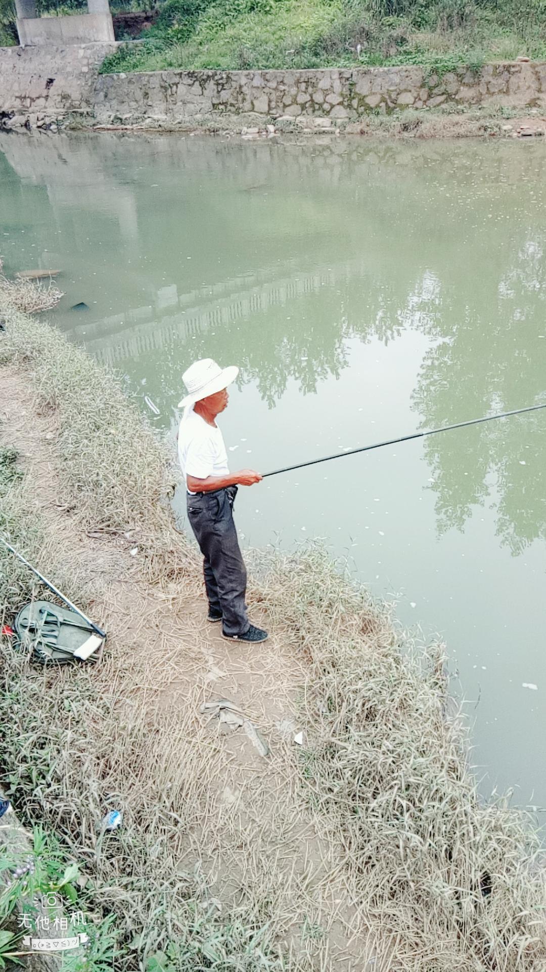 湖北宜都枝城赤溪河，長在河邊的抗癌藥草