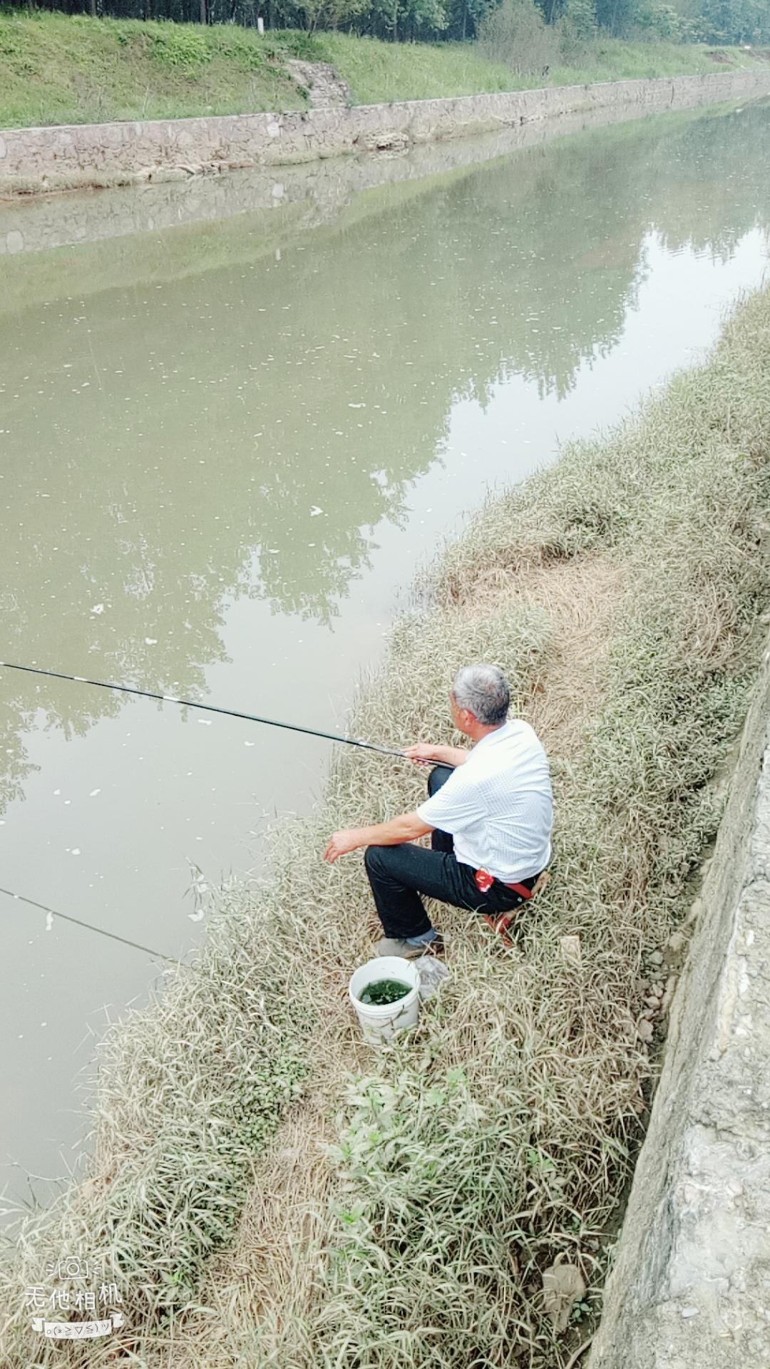 湖北宜都枝城赤溪河，長在河邊的抗癌藥草