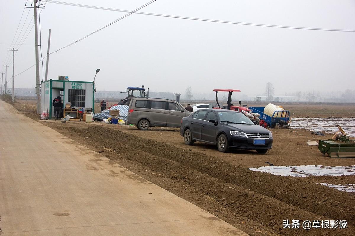 江蘇人到安徽種藥材，年盈利300多萬(wàn)：有人聽(tīng)起來(lái)像笑話