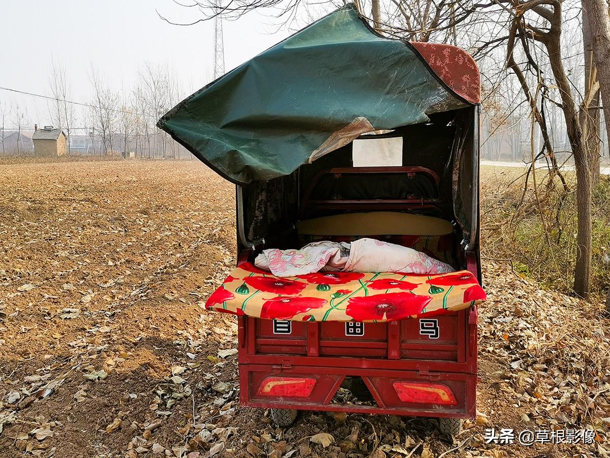 江蘇人到安徽種藥材，年盈利300多萬(wàn)：有人聽(tīng)起來(lái)像笑話