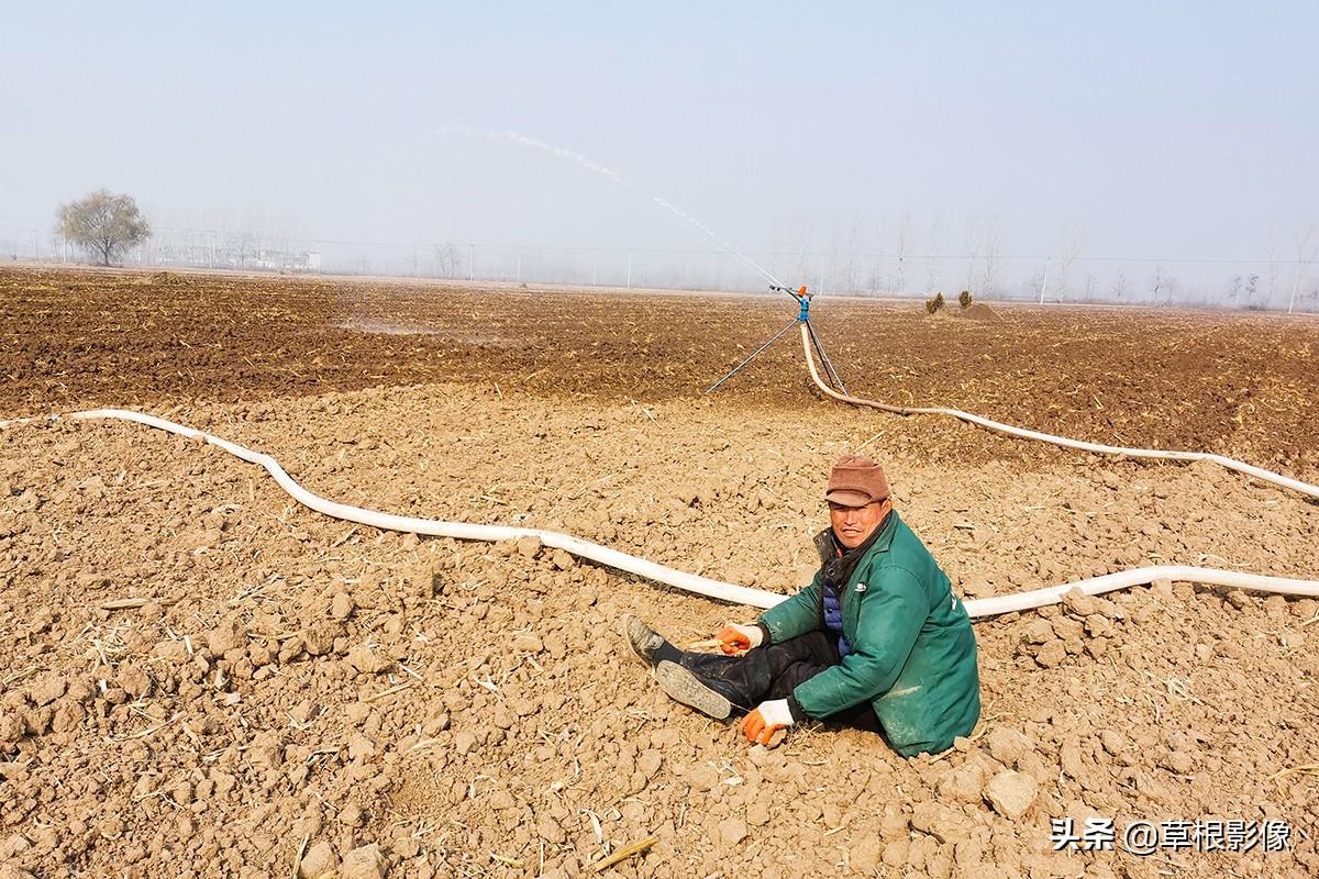 江蘇人到安徽種藥材，年盈利300多萬(wàn)：有人聽(tīng)起來(lái)像笑話
