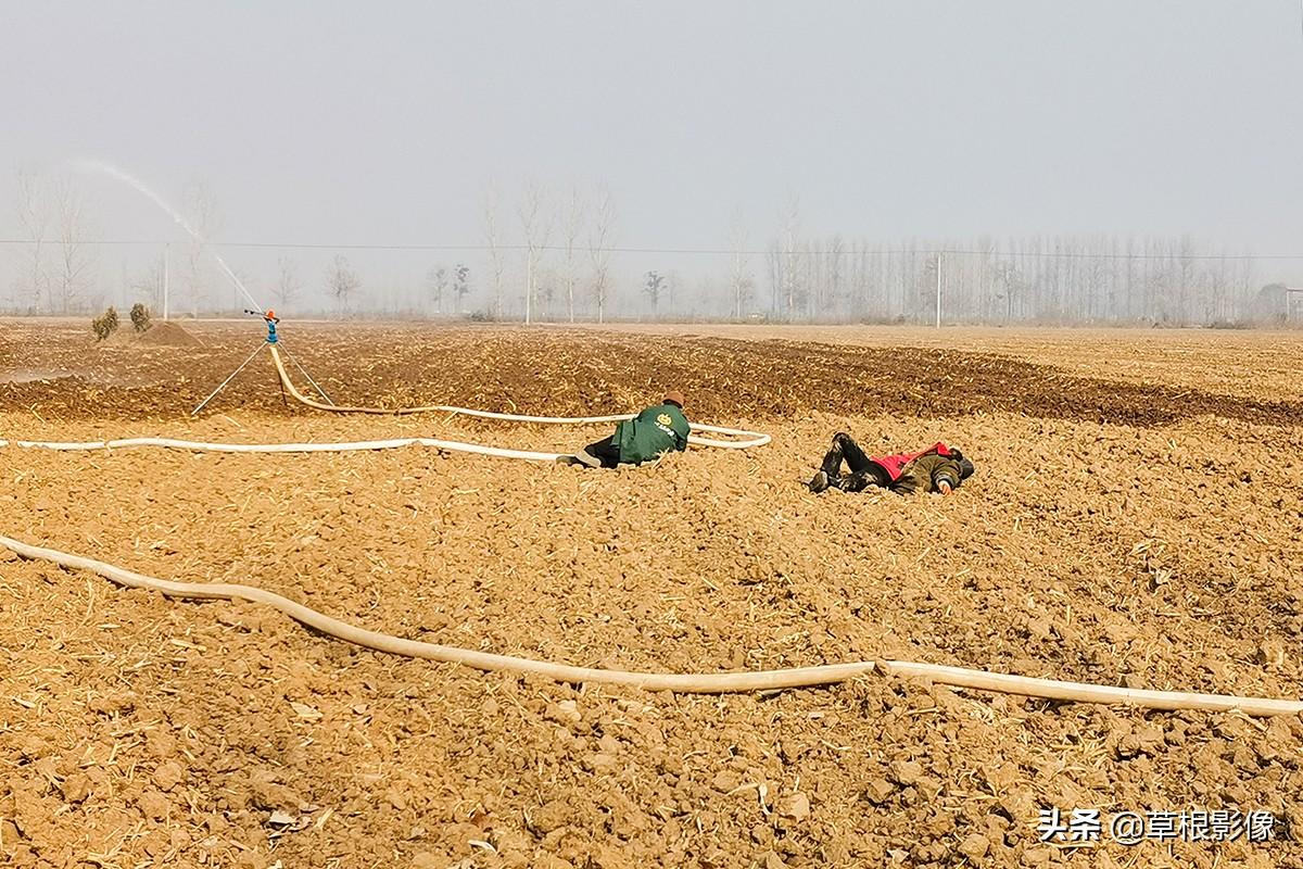 江蘇人到安徽種藥材，年盈利300多萬(wàn)：有人聽(tīng)起來(lái)像笑話